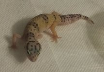 IMAG0658_1.jpg IMAG0658_1.jpg