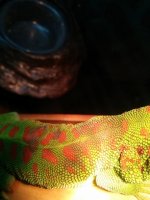 IMG_20141024_100422.jpg