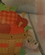 IMAG0750_1.jpg IMAG0750_1.jpg