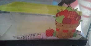 IMAG0757.jpg IMAG0757.jpg