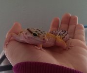 IMAG0769.jpg IMAG0769.jpg