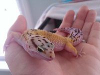 IMAG0767.jpg IMAG0767.jpg