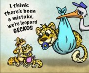 lgcartoon.jpg