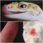 unnamed.jpg unnamed.jpg