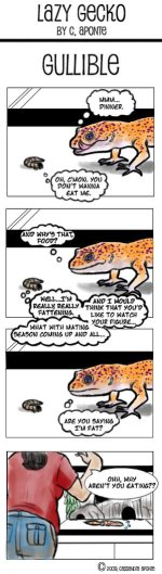 Lazy_Gecko_Numba_3_by_rare_form.jpg