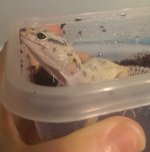 IMAG0781.jpg IMAG0781.jpg