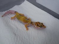 DSC_0225.jpg