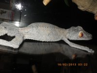 IMGP2090.jpg