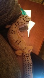 IMAG0793.jpg IMAG0793.jpg