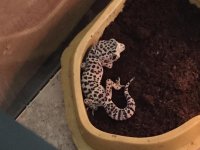 IMG_4064.jpg IMG_4064.jpg