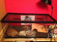 2015-01-13 20.08.43.jpg 2015-01-13 20.08.43.jpg