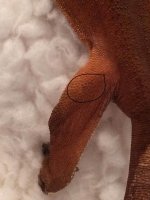 IMG_0371.jpg IMG_0371.jpg