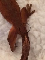 IMG_0370.jpg IMG_0370.jpg