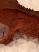 IMG_0369.jpg IMG_0369.jpg