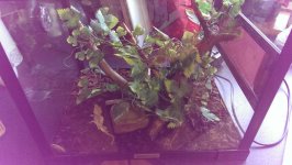 2015-01-27 09.23.53.jpg