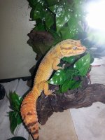 1512805_10204398900546746_1576119852911856867_n.jpg 1512805_10204398900546746_1576119852911856867_n.jpg