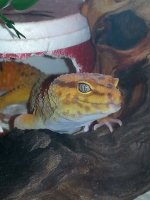 10421595_10204453284786318_7127805448161771837_n.jpg 10421595_10204453284786318_7127805448161771837_n.jpg