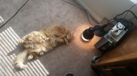 20150202_110720.jpg