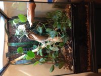 IMG_1089[1].jpg