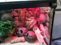 3 right side (Warm).jpg