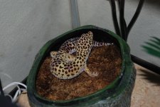 DSC_0142.jpg DSC_0142.jpg