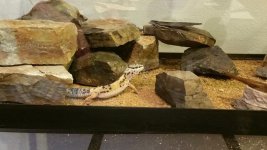 20150405_195732_resized.jpg 20150405_195732_resized.jpg