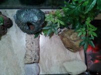 20150414_122224.jpg