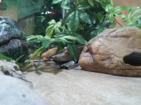 20150414_122431.jpg