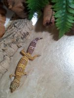 20150414_123053.jpg