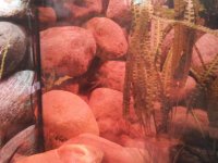 20150414_144941.jpg