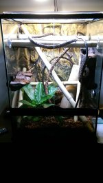 terrarium.jpg