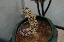 DSC_0143.jpg