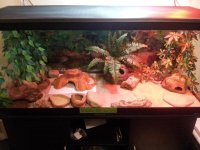 Shadow's Tank.jpg