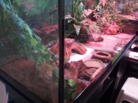 20150420_122723.jpg