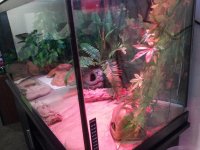 20150420_122746.jpg