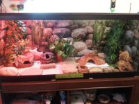 Pandora's Tank.jpg