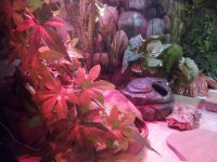 20150420_123433.jpg