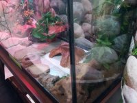 20150420_123216.jpg