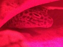 IMG_3879.jpg