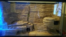 20150505_205720_resized.jpg 20150505_205720_resized.jpg