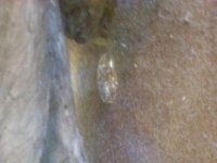 20150507_143207.jpg