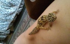 20150517_140531.jpg