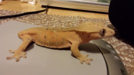20150601_163538.jpg
