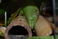 DSC_0103.jpg