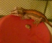 0702152230-1.jpg