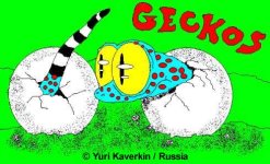 gekkoschlupf.jpg gekkoschlupf.jpg