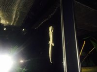 IMG_1812.jpg