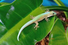 PhRo-8-30-2015-female.jpg