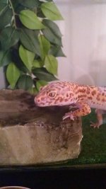 IMG_20150909_171824221.jpg IMG_20150909_171824221.jpg