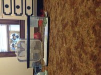IMG_0098[1].jpg